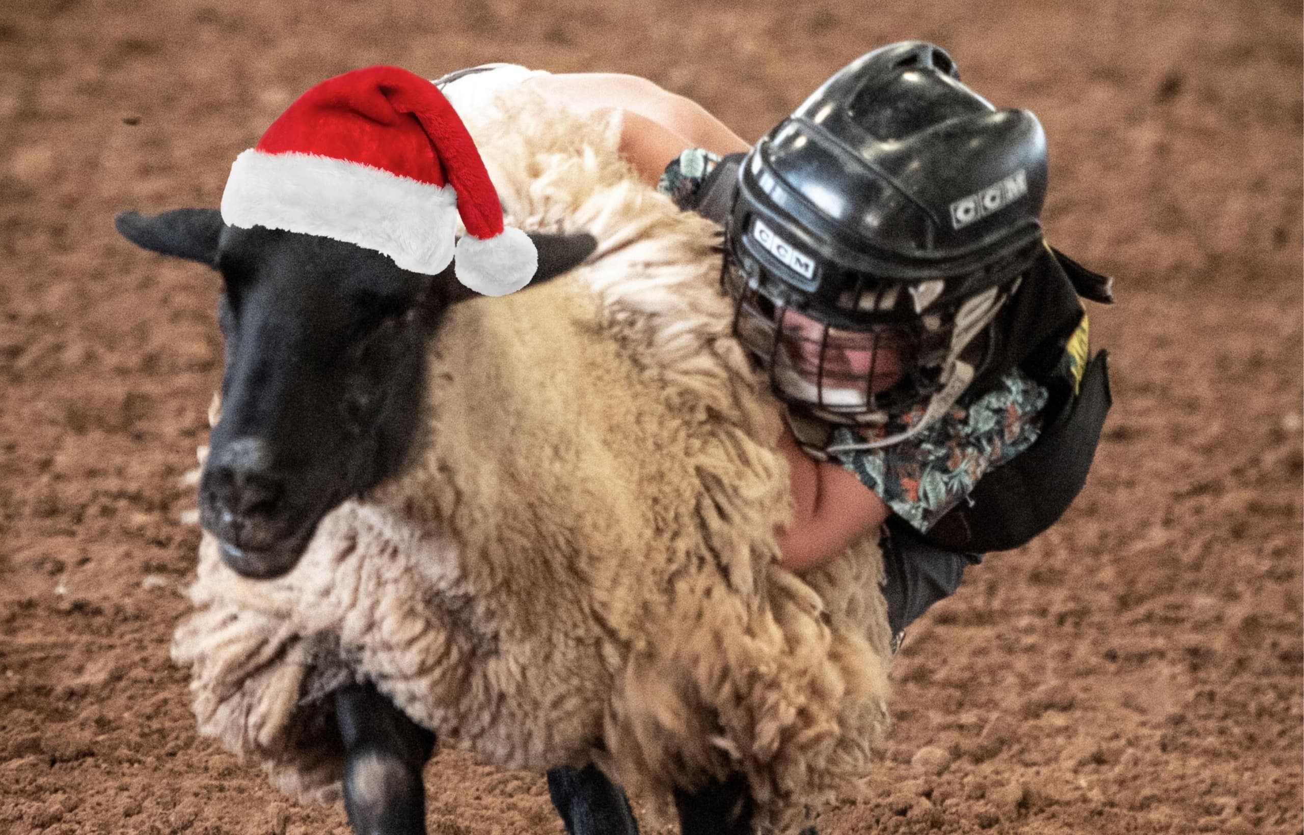 Cowboy Christmas Mutton Bustin': A Thrilling Rodeo Experience for Kids in Bulverde, Texas