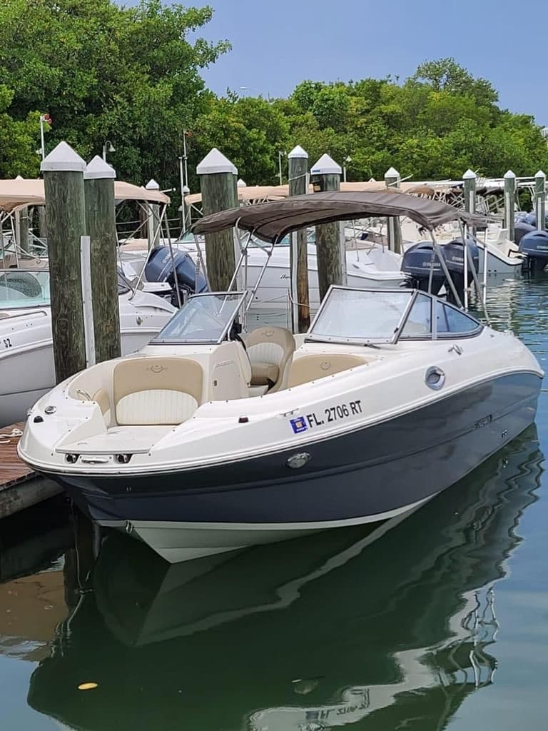 Explore Miami Bay Aboard the Stingray 24: Private Boat Tours with Dolphin and Manatee Encounters