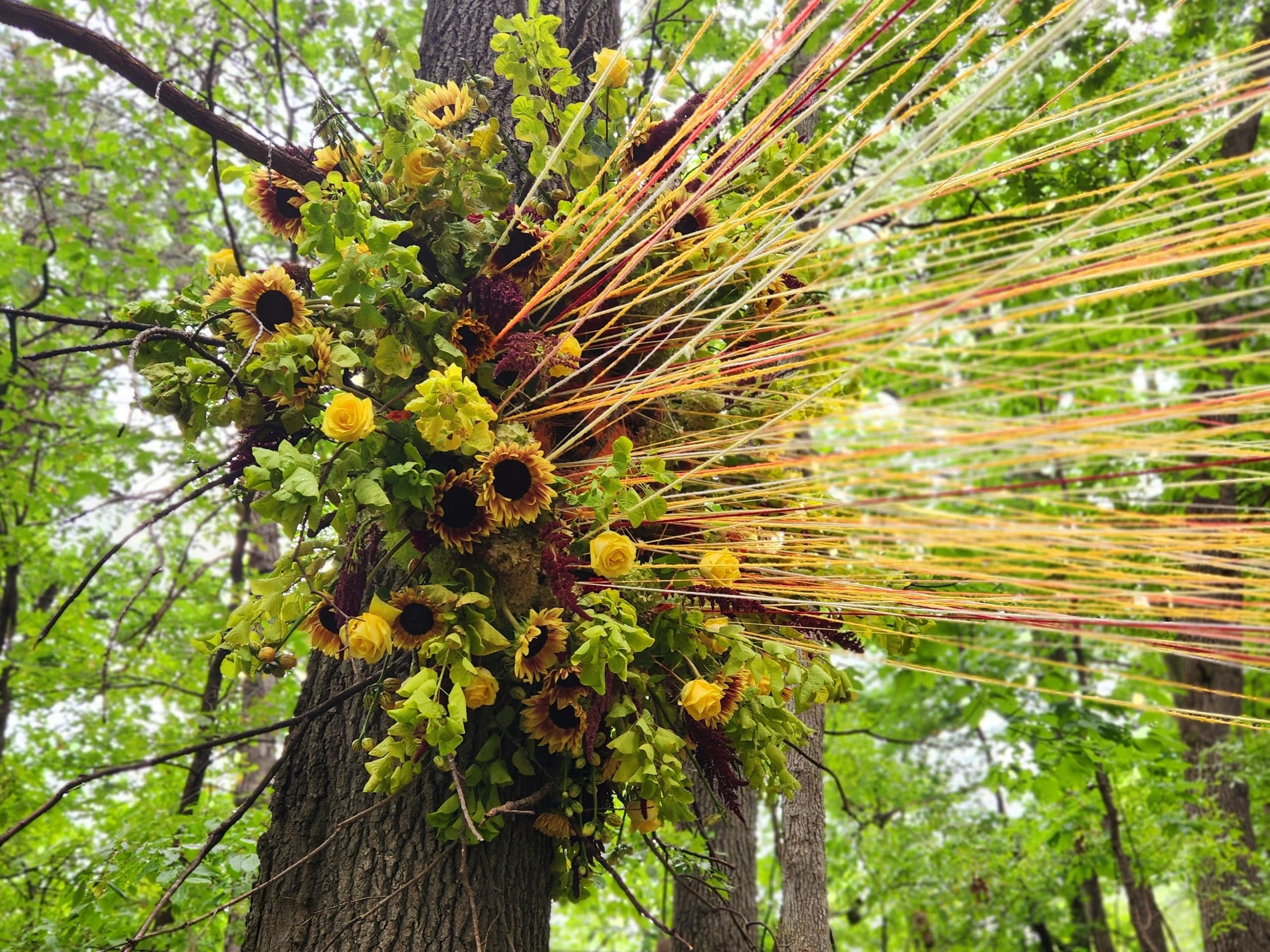 Floral Art Immersion at Meadow Brook Hall’s Art in the Elements