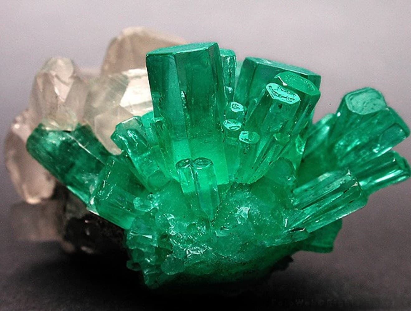 Cave Tours & Gemstone Panning at Crystal Cave