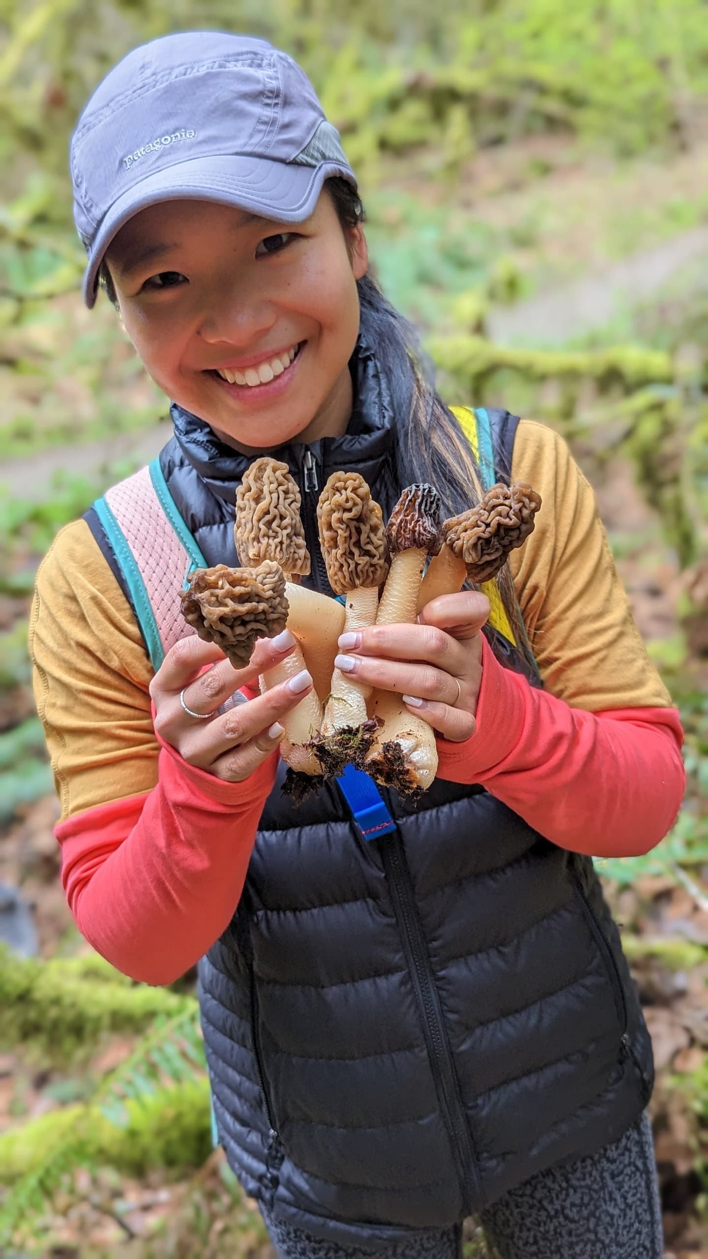 Seattle Mushroom Foraging 101: Hands-On Wild Mushroom Walk Near Redmond photo 4