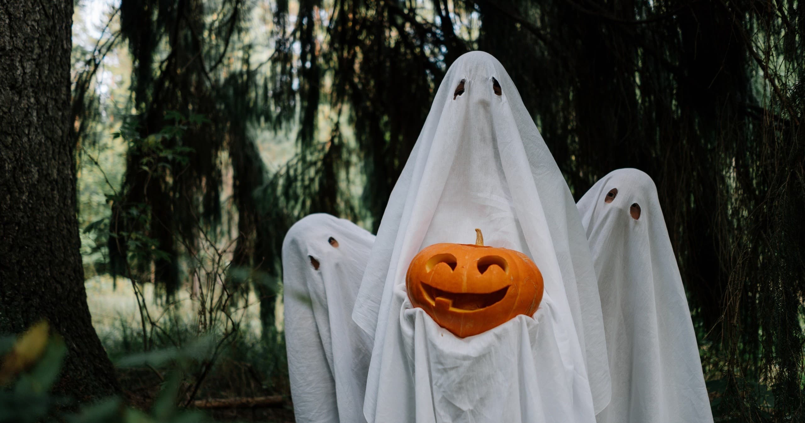 Ghost-costumed group holding jack-o'-lantern in pine forest