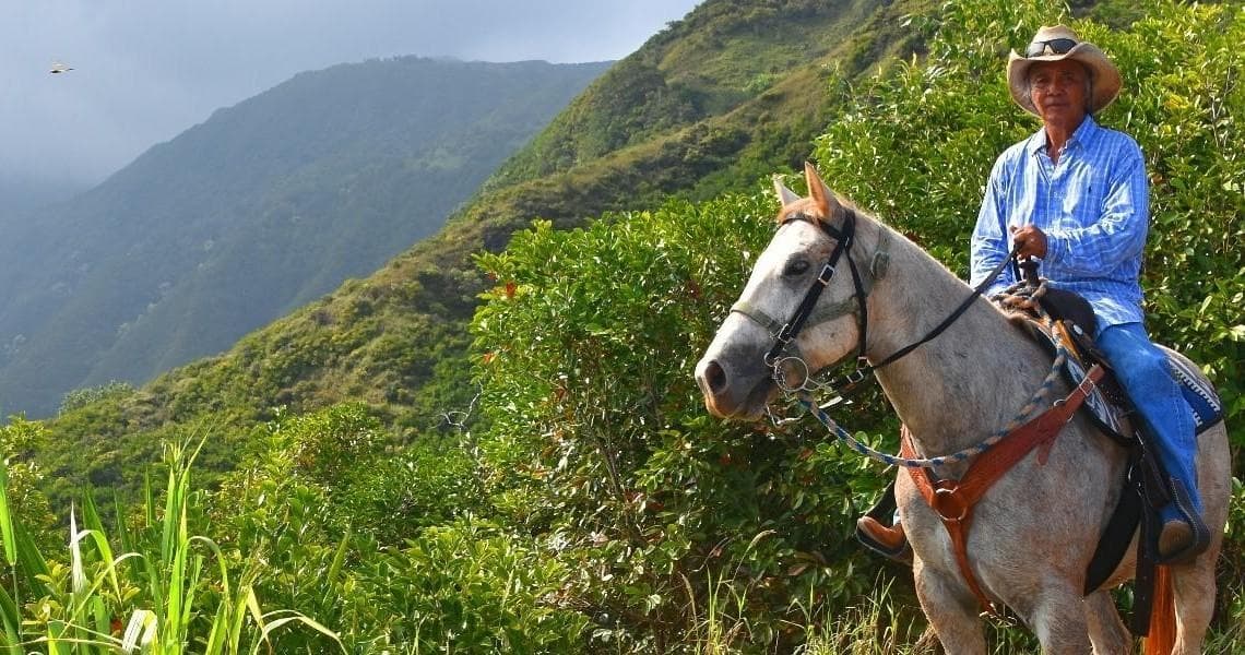 Maui Mountain Activities: Morning Horseback Ride