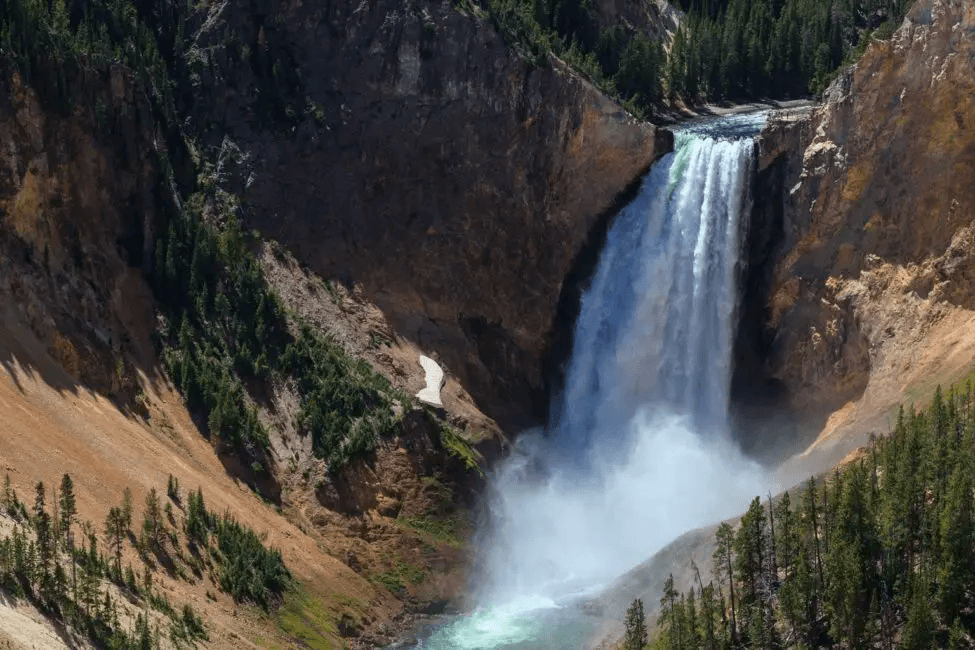 Yellowstone National Park Wildlife & Waterfall Safari