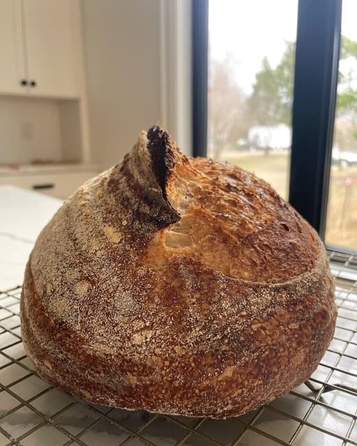 Hands-On Sourdough Workshop in Oshawa: Two Hours to Your First Starter