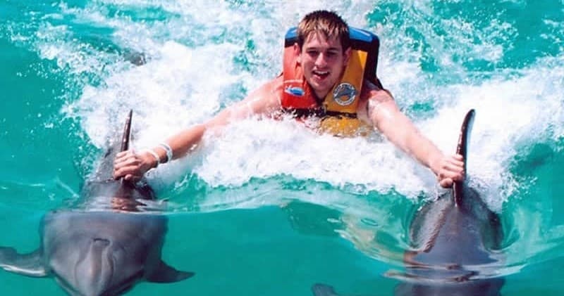 Dolphin Swim & Water Adventures with Vallarta Tours