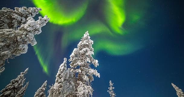 Winter Wildlife & Aurora Snowshoeing at Wilderness Hotel