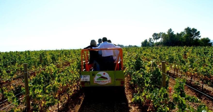 Explore Penedés Vineyards on a Classic Mehari Safari Tour