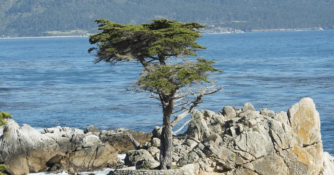 Explore Monterey Coast on a Two Hour Scooter Tour