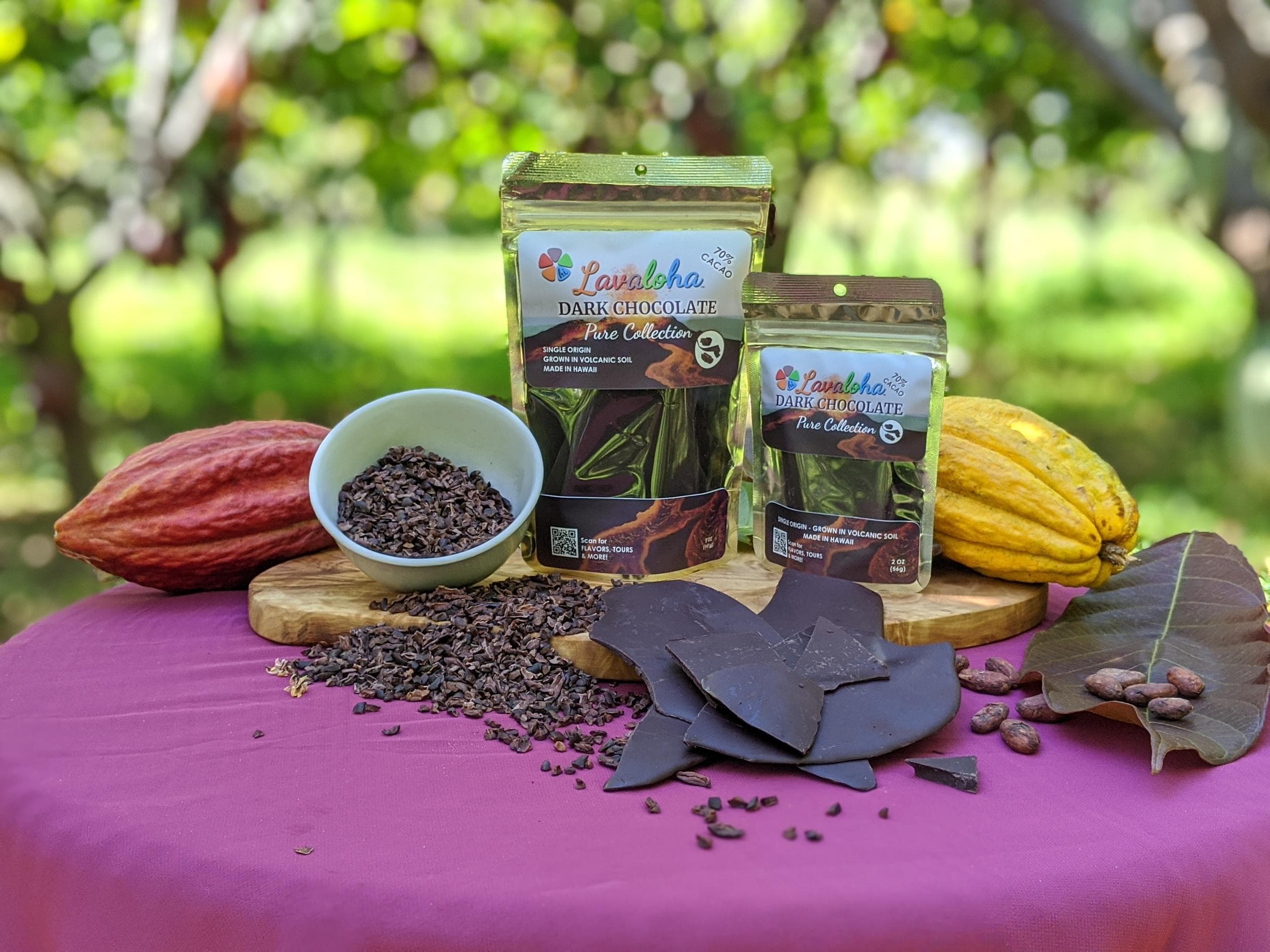 Cacao pods and chocolate bars on table in orchard tasting setup