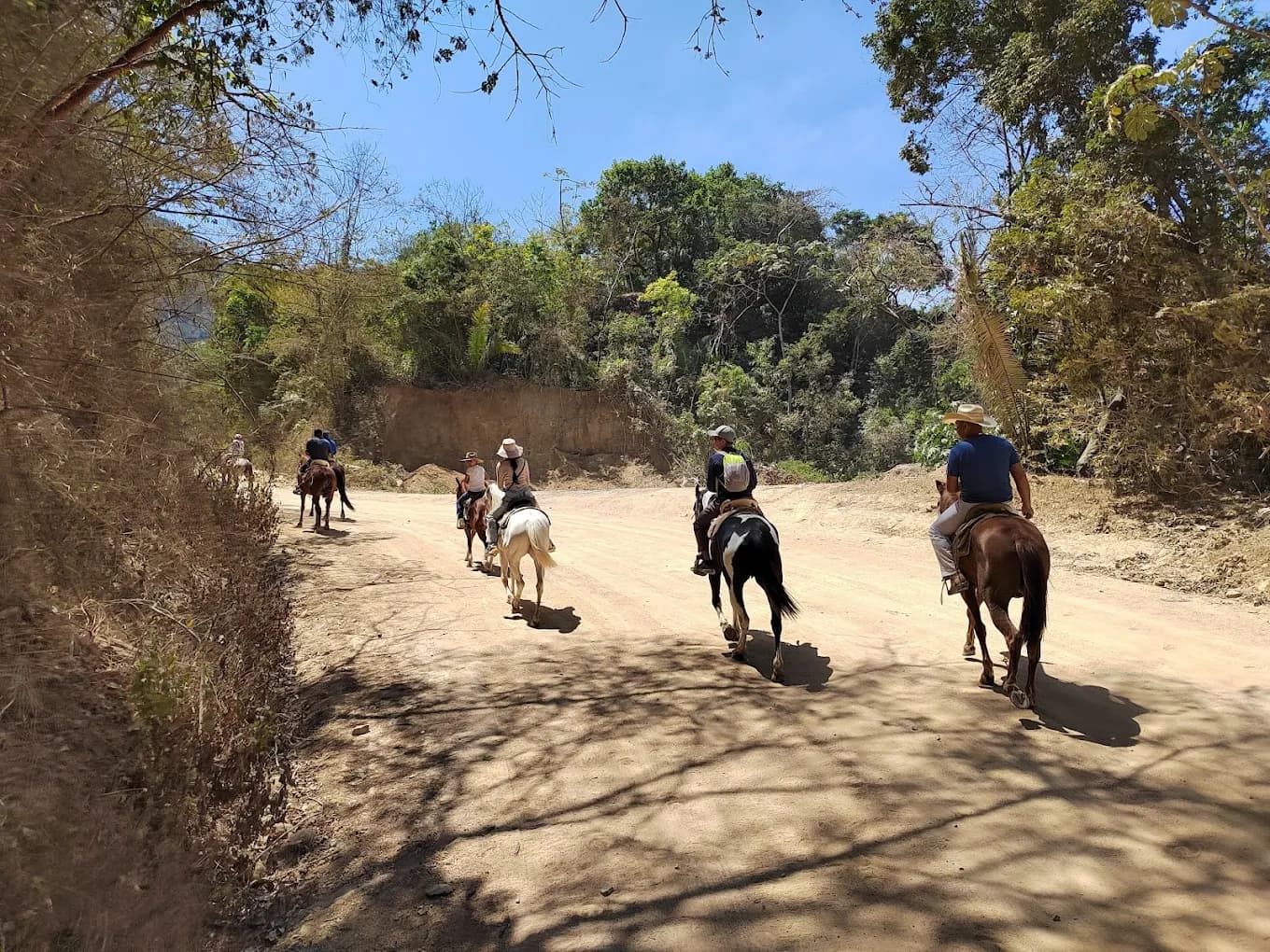 Horseback & Zipline Thrills with Puerto Vallarta Net
