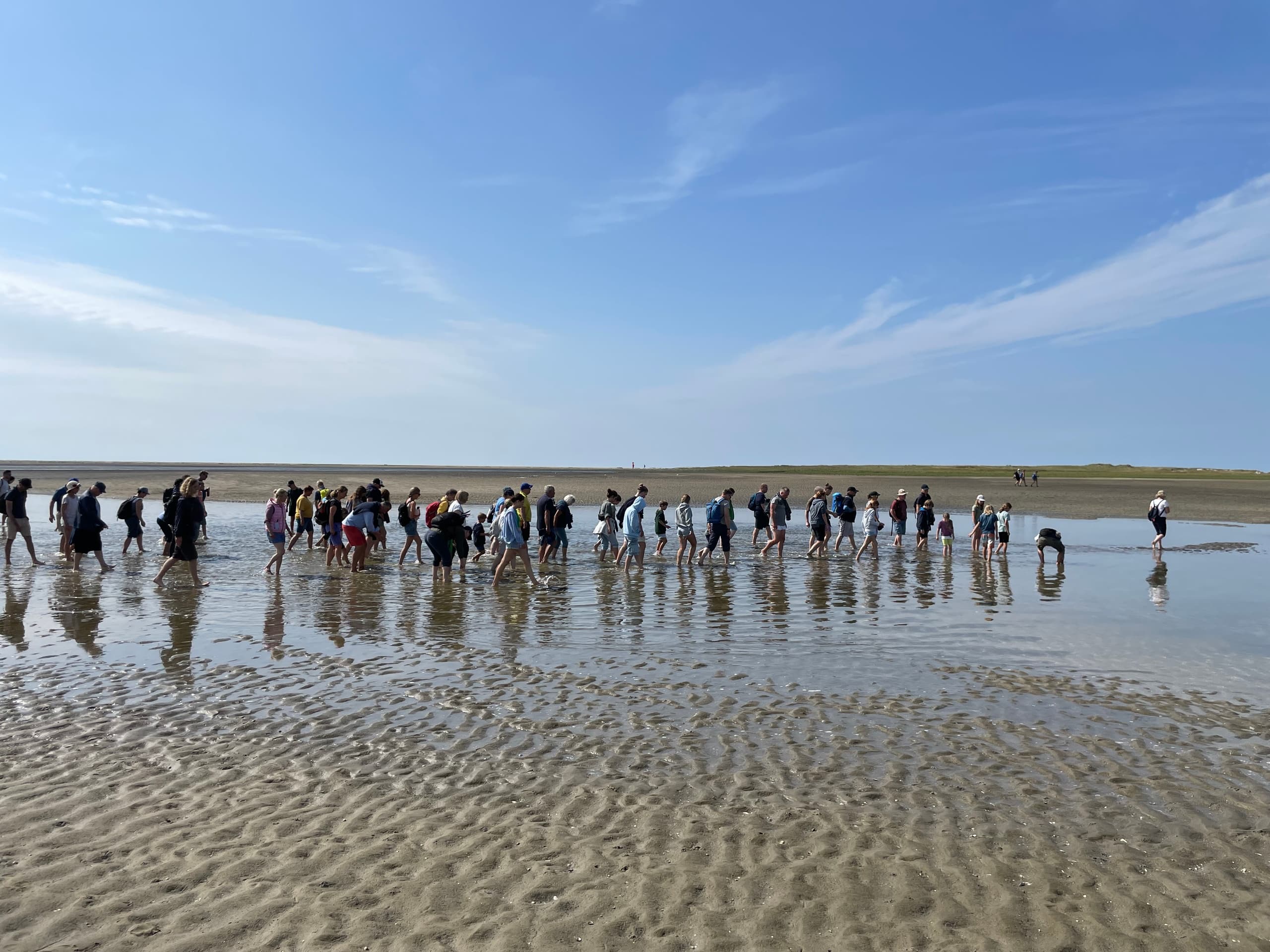 Wadden Sea Wattmann Touren: Guided Tidal Adventures