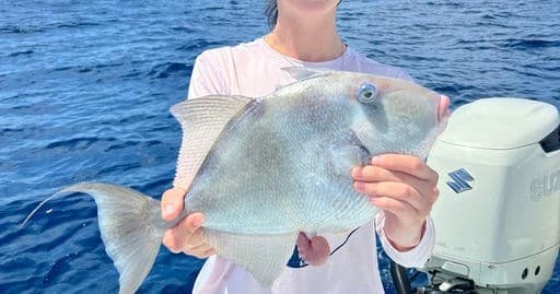 Angler showing reef fish catch aboard a deep sea fishing boat