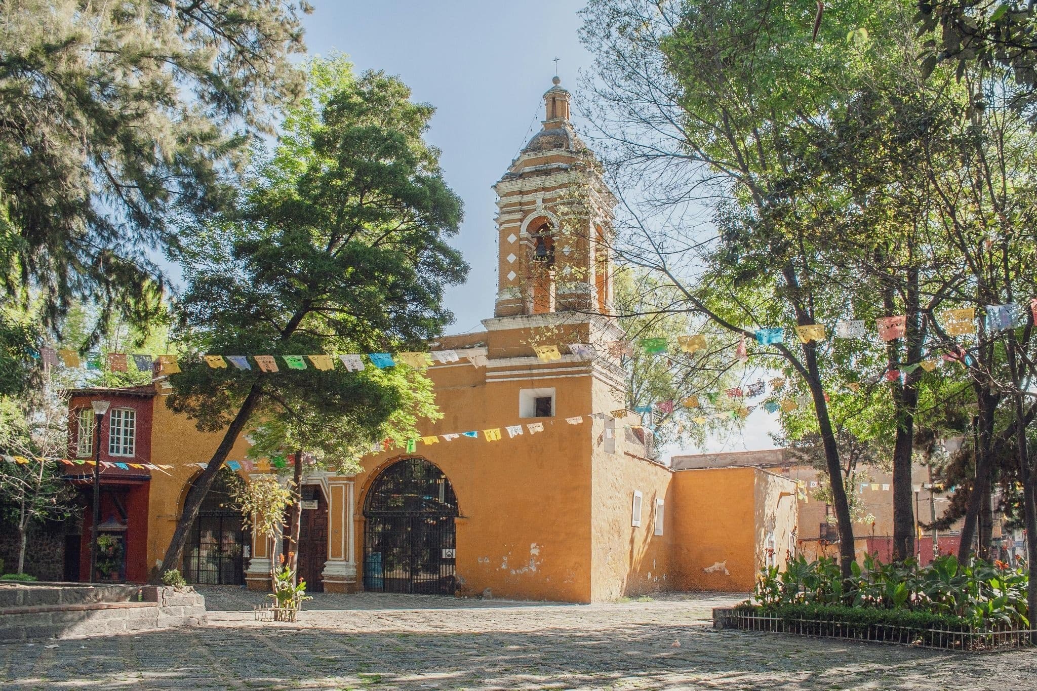 Float, Stroll, and Marvel: Xochimilco Canals, Coyoacán & UNAM in One Day photo 1