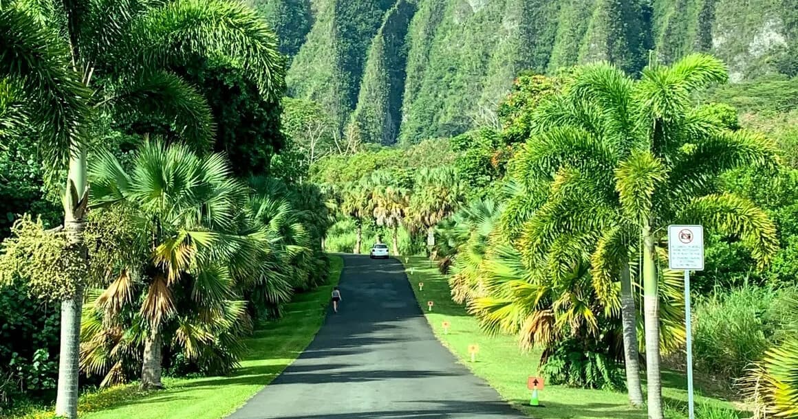 Oʻahu Your Way: 8-Hour Private Island Tour with Aina Holo Tours