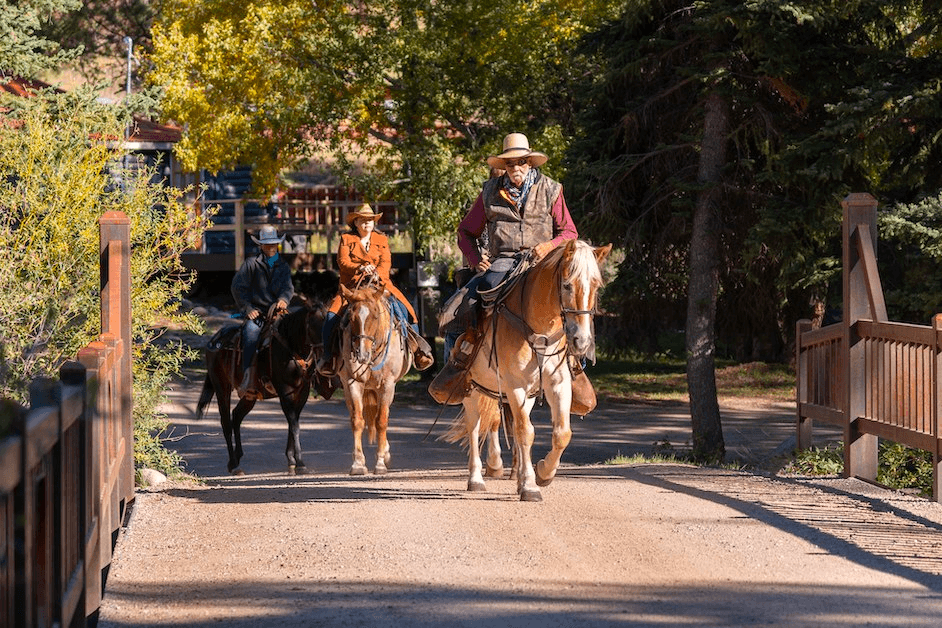 Half-Day Horseback Ride in Taylor Canyon, Colorado