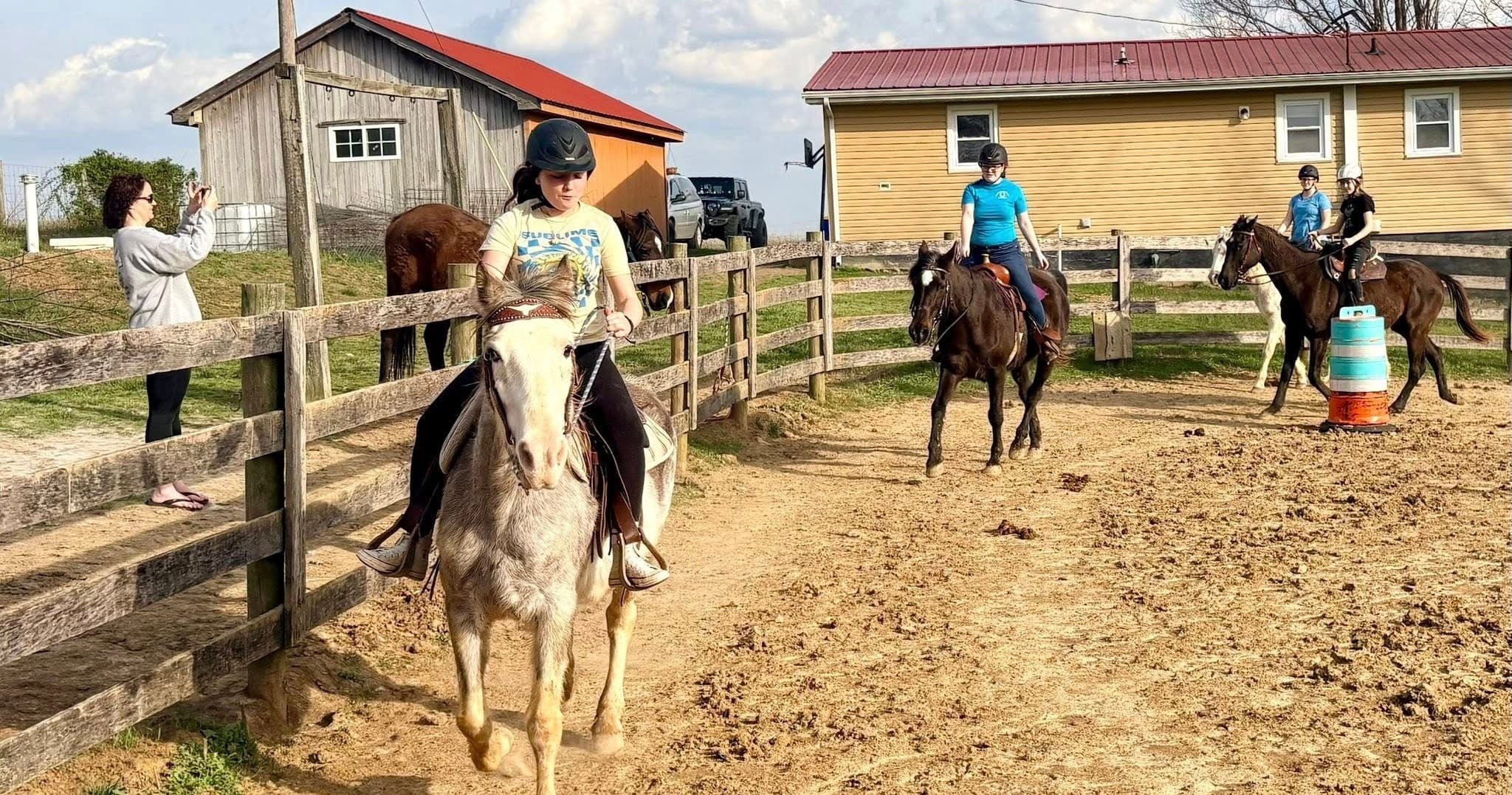 On-the-Go Riding Lessons: Farm-Based Horsemanship in Park City, Kentucky