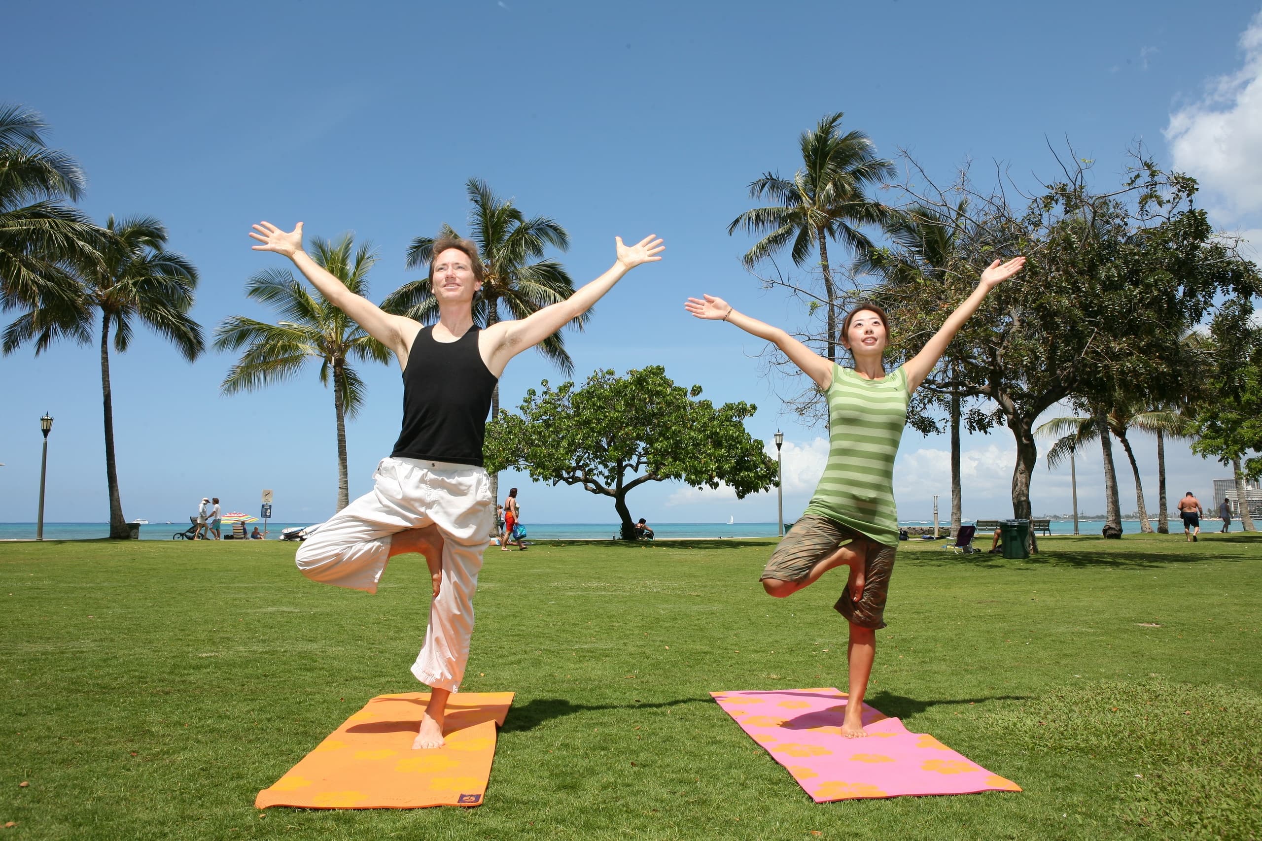 Partners doing tree pose yoga in grassy park with palms