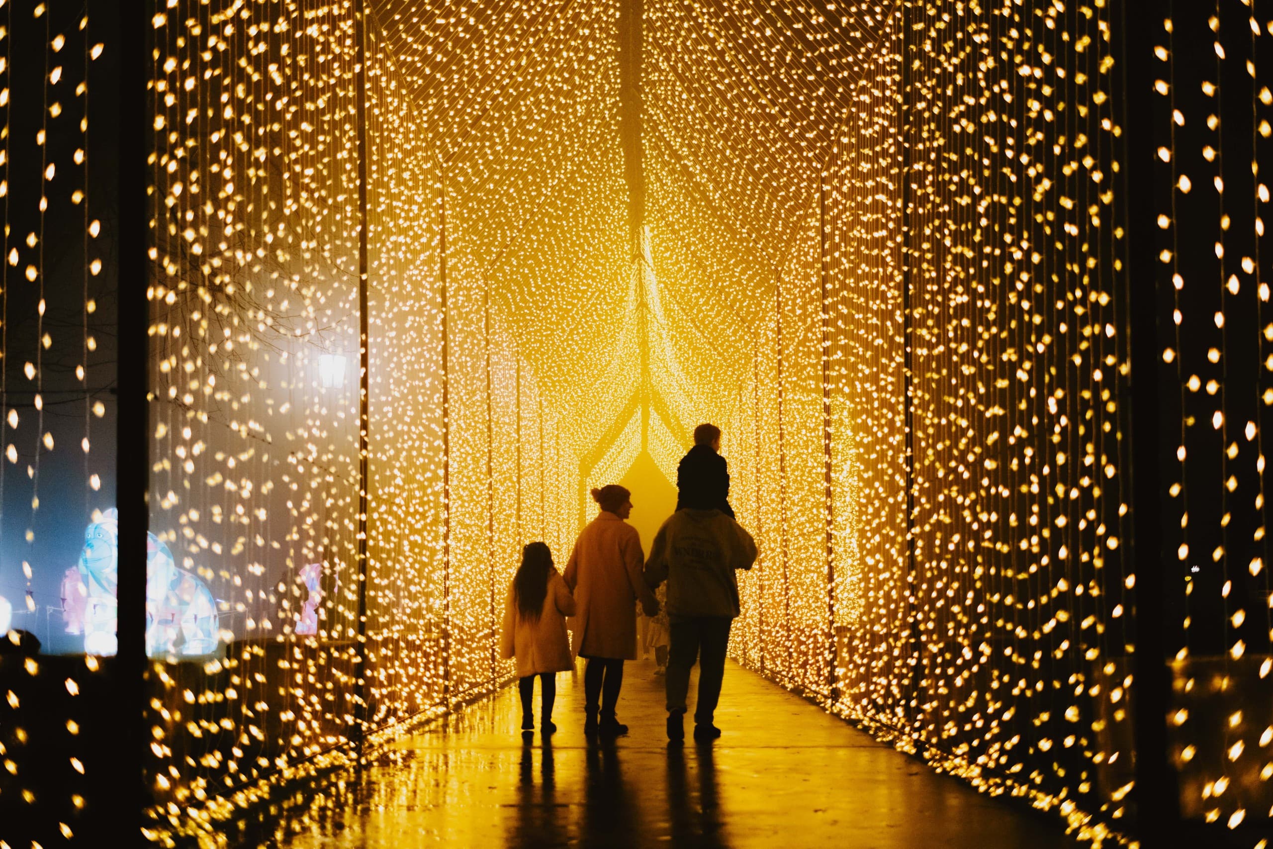 Electric Wonderland at Rosalind Park: Bendigo's Nighttime Light Experience photo 2