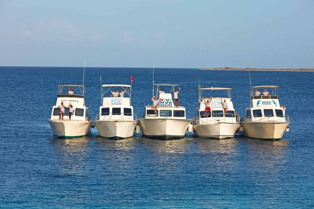 Bonaire Dive Trip at Divi Flamingo — Calabas Reef & Unlimited Shore Diving photo 3