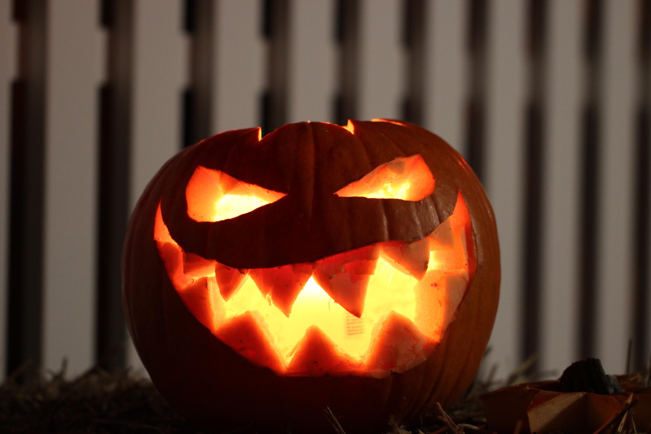 Water Activities & Victorian Princess: Halloween Moonlight Cruise Adventure
