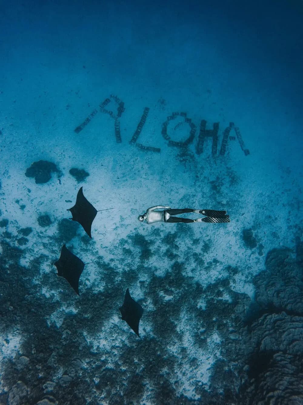 Learn Freediving in Honolulu: SSI Basic Freediver Course with Trident Adventures