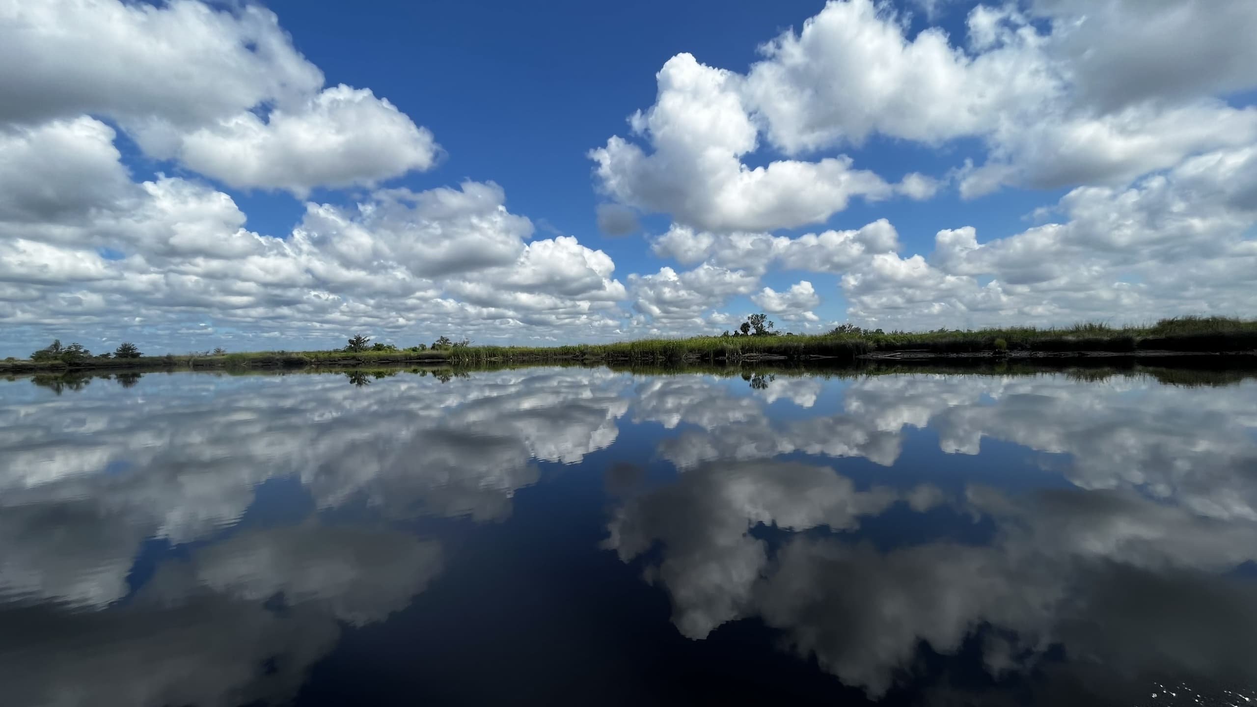 Savannah by Water: Private Indigo Island Charters from Thunderbolt