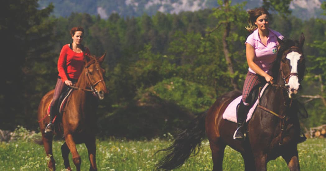 Horse Riding Adventure with FunTurist in Bled, Slovenia