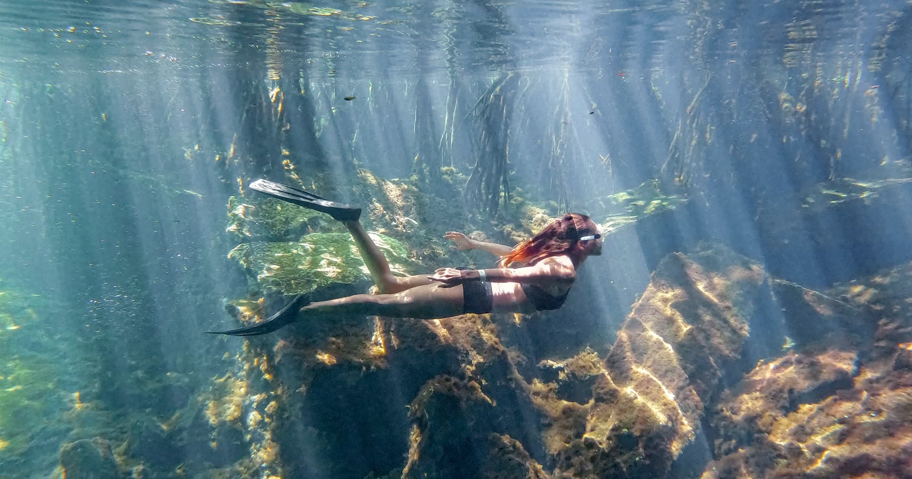Snorkel Cenotes: Half-Day Dive into Riviera Maya's Underwater Caves photo 2