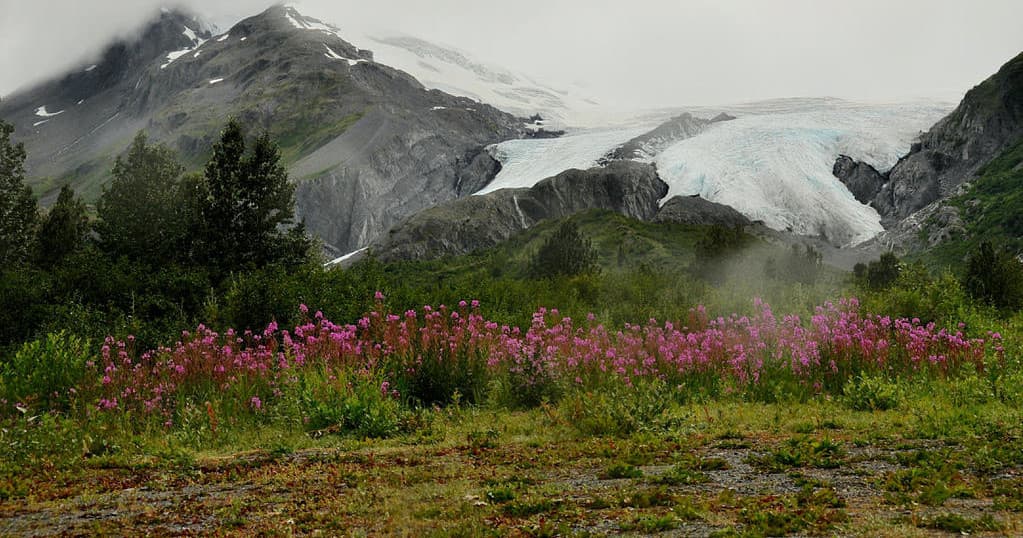 Off-Road Adventure & Mining History with Valdez Off Road Adventures