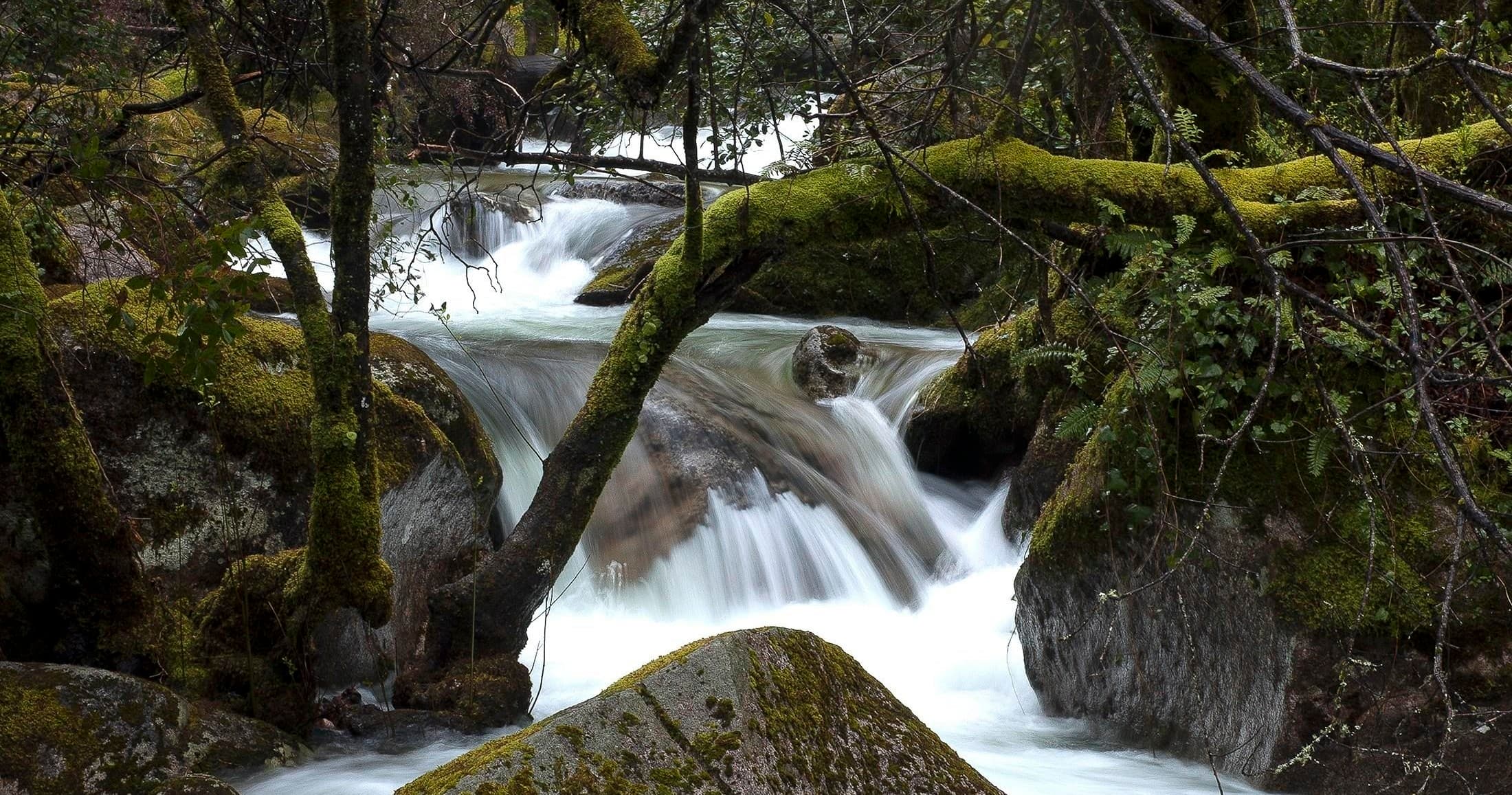 Land Adventures with Keen Tours in Gerês