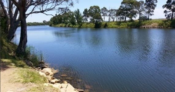 Tambo River Pontoon Boat Hire by Seas the Day Gippsland