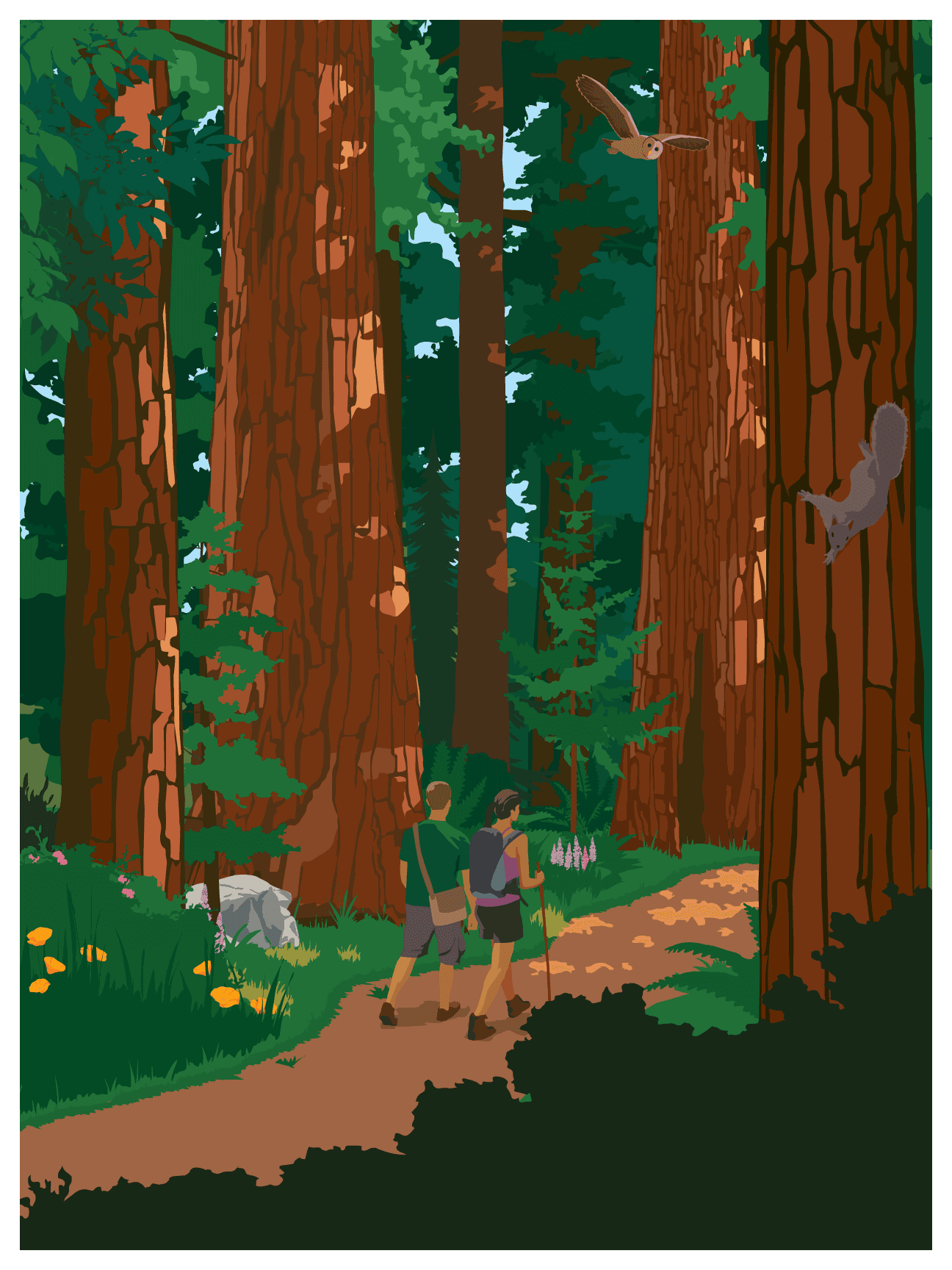 Guided Redwood Tour with Lunch in Fort Bragg, CA