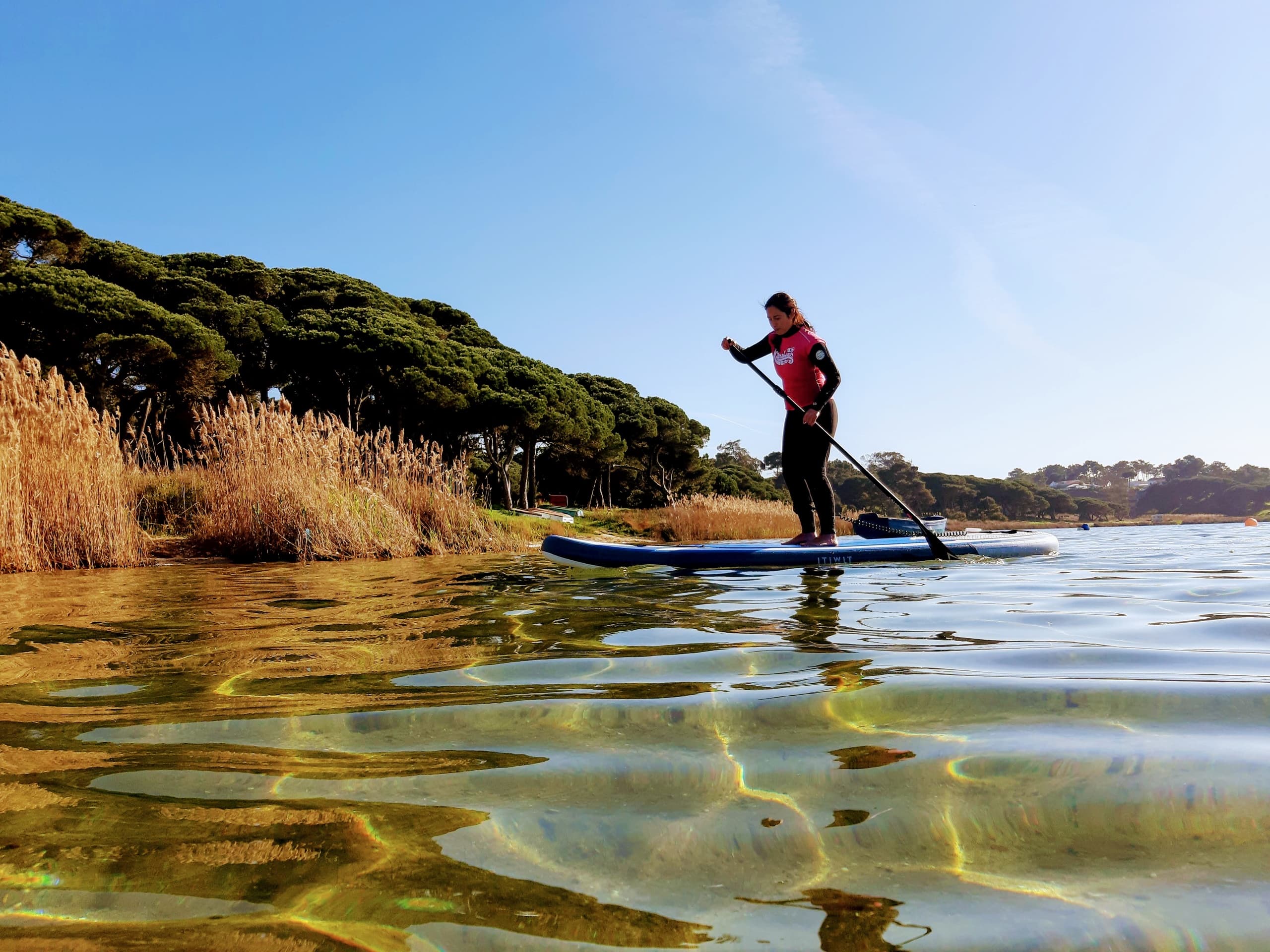 Stand-up paddleboarder gliding on clear shallow coastal waters