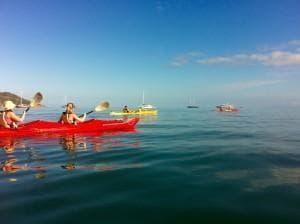 Group kayaking on glassy blue ocean under clear sky, calm tour