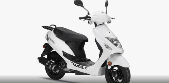 Scooter Rentals in St. Petersburg with Beach to Bay Scooters
