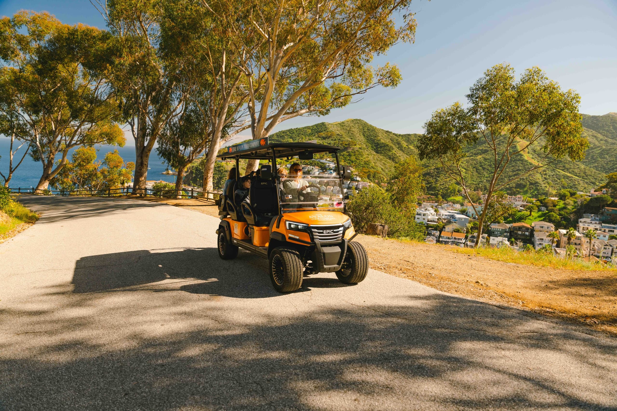 Private Golf Cart Tour of Avalon: 90–120 Minute Local-Led Ride with Gary the Garibaldi