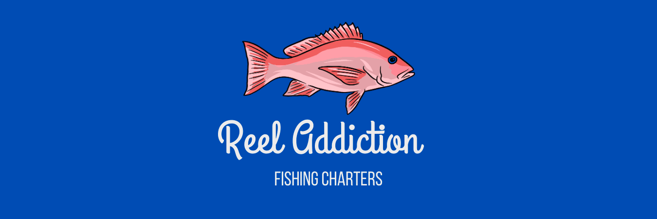 Pensacola Dolphin Cruise with Reel Addiction Fishing Charters