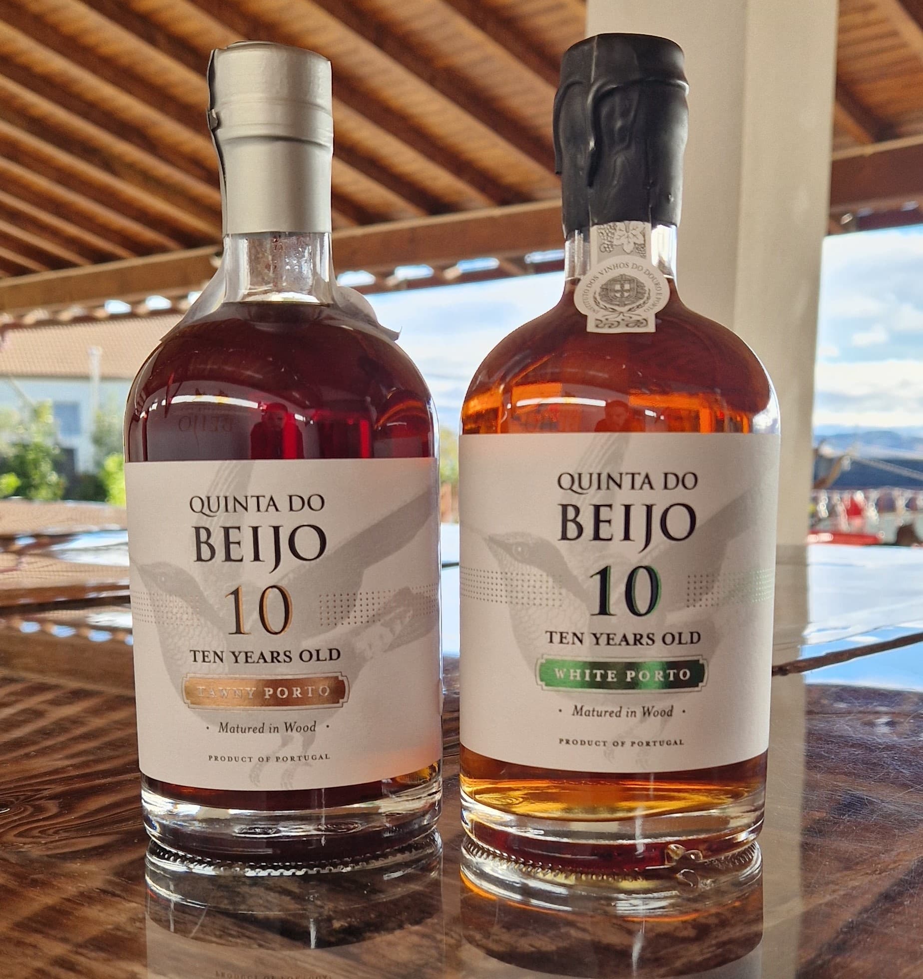 Porto Wine Tasting at Quinta Do Beijo, Douro Valley