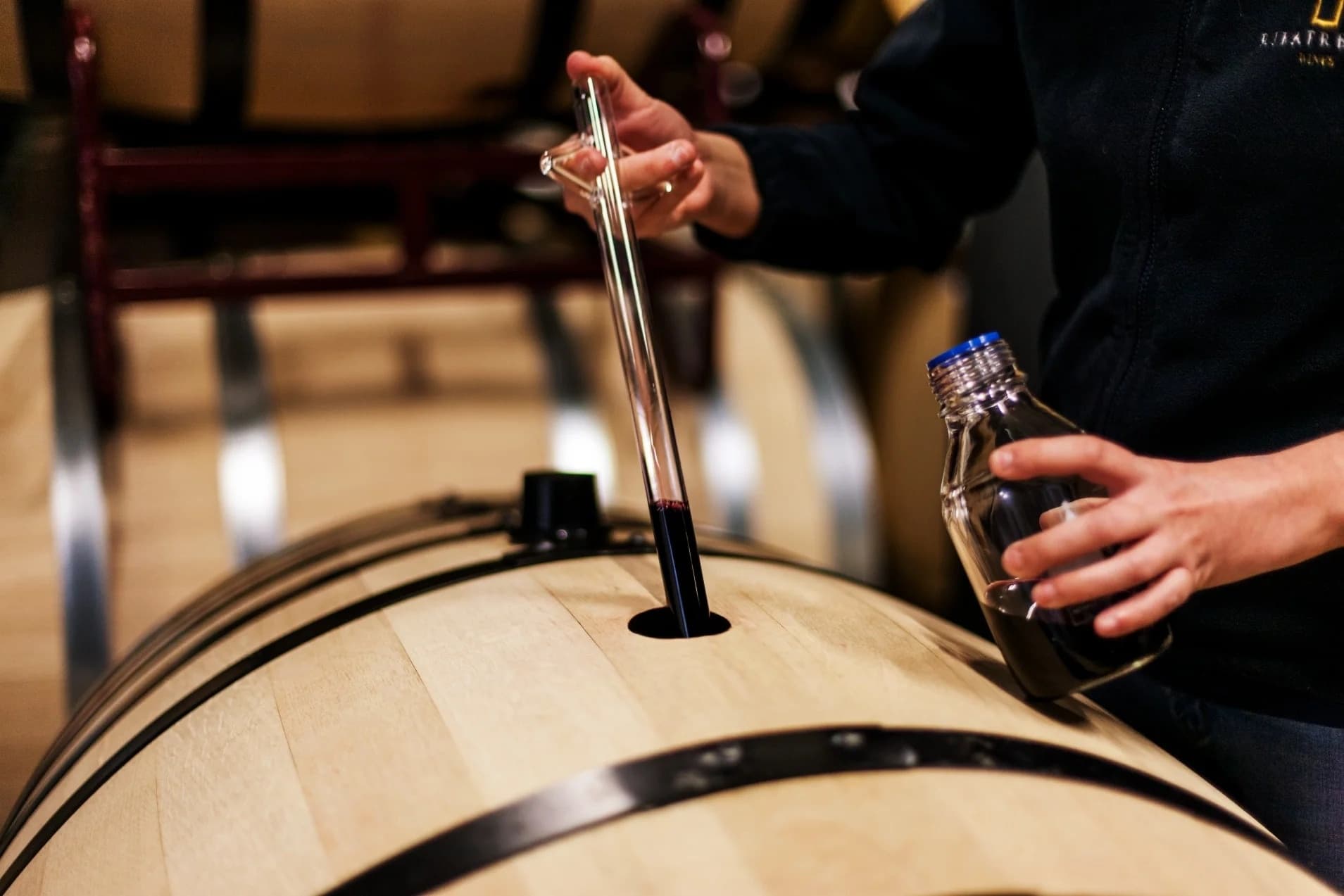 Wine Tasting & Vineyard Tour at Ribafreixo Wines in Alentejo