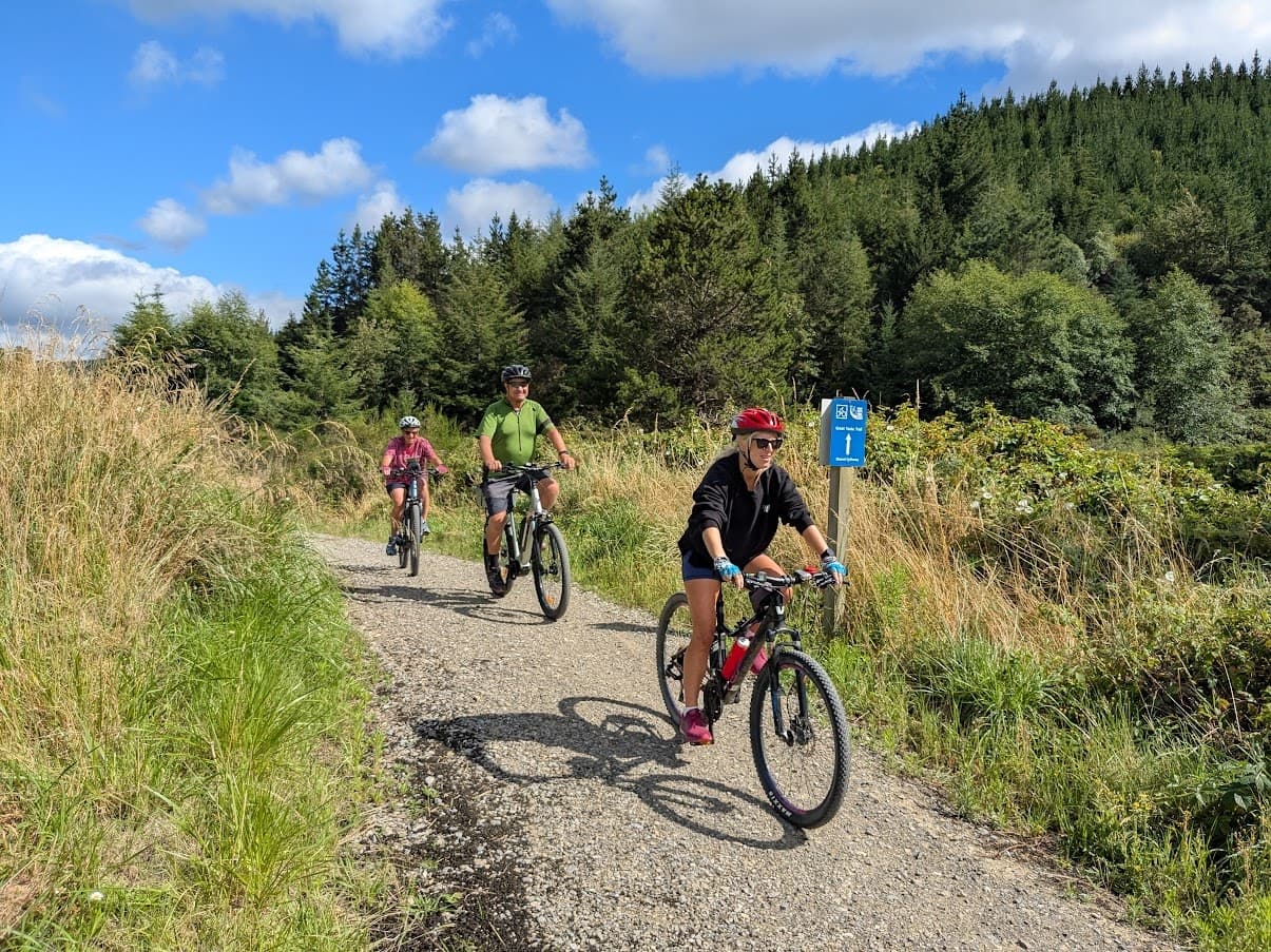 Half Day Bike Hire in Nelson with The Gentle Cycling Company