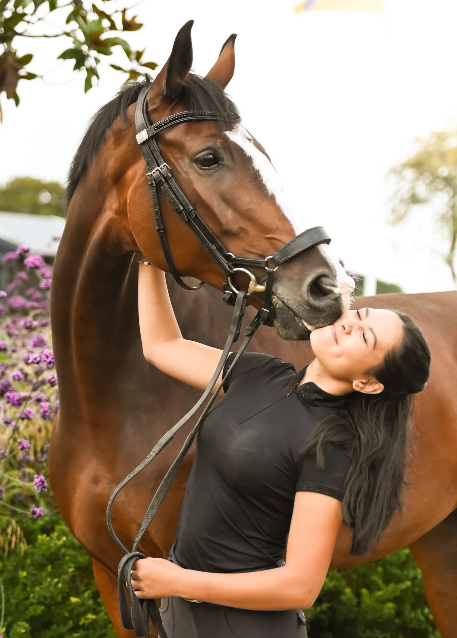 Horseback Riding & Forest Adventures at Coombe Stables