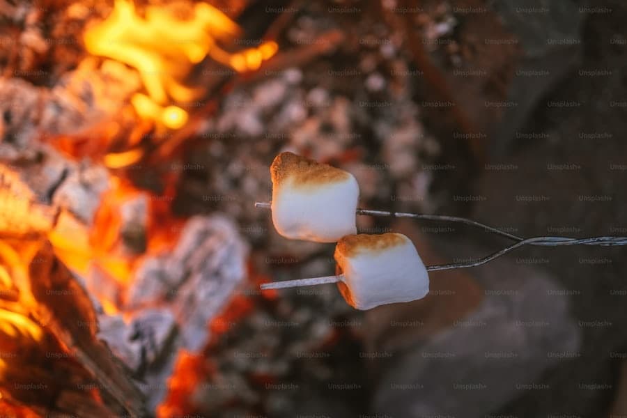 Campfire S’mores Box at Lumsden Beach Company in NL