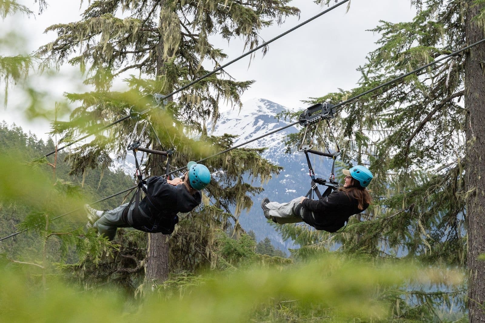 Base Jumper Zipline Thrills with The Adventure Group Whistler