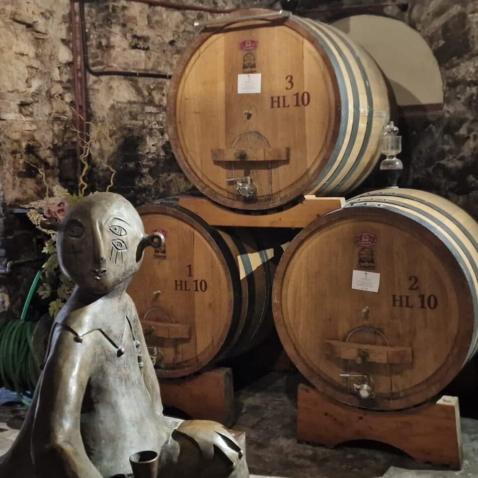 Private Montepulciano Wine Tasting from Rome: Nobile Cellar Tour