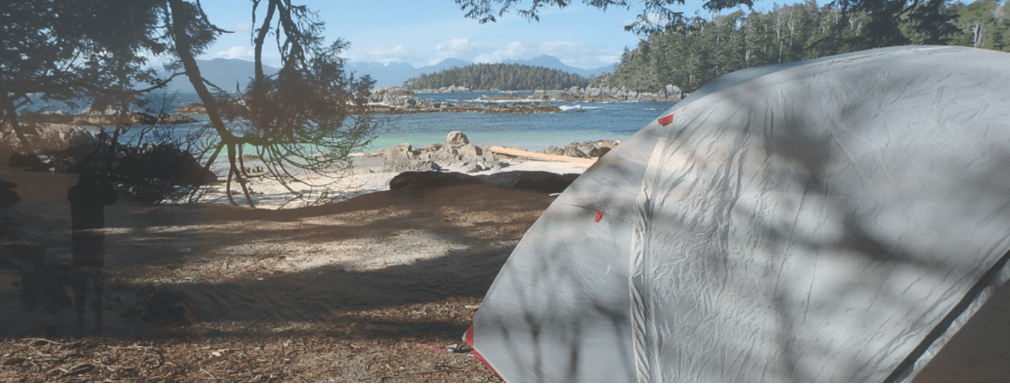 Deer Group Kayaking Adventure in Mill Bay, BC