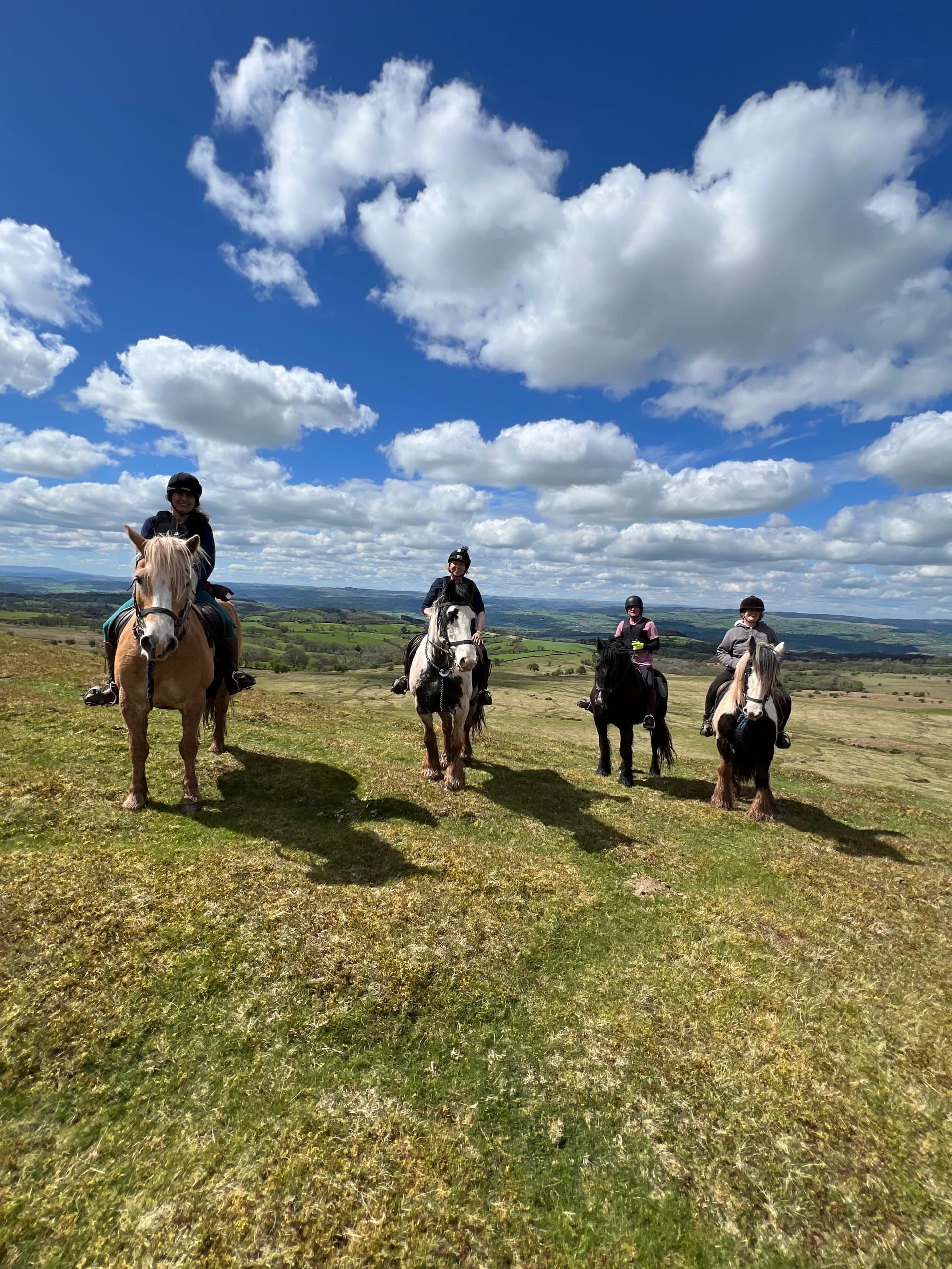Four horseback riders on open moor under dramatic blue sky