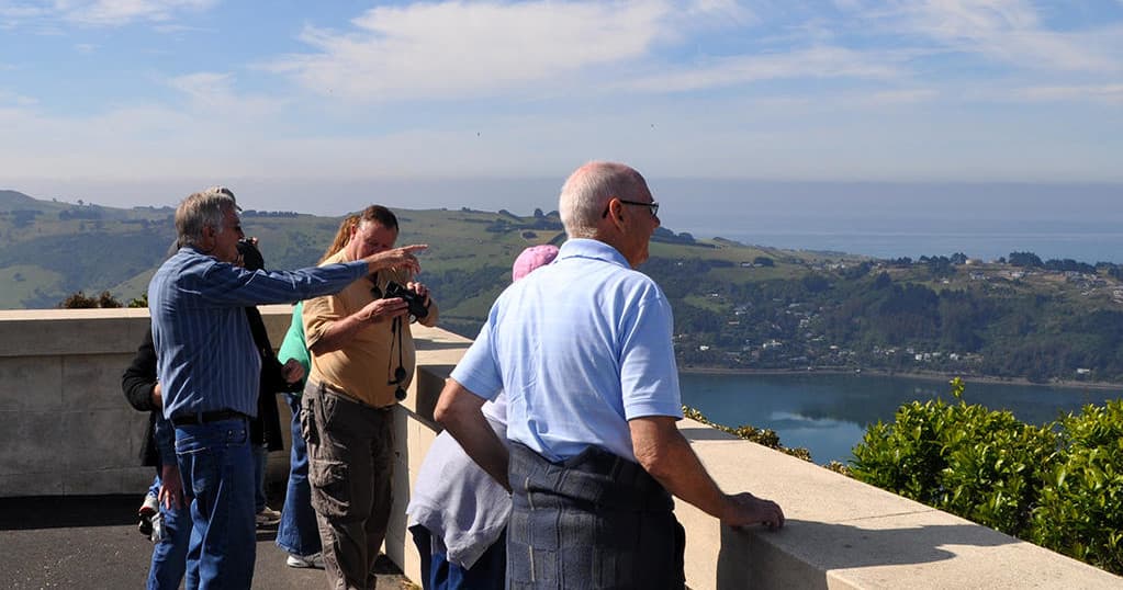Explore Dunedin’s Top Attractions on the Iconic Dunedin City Highlights Tour