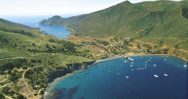 Green coastal bay on Catalina Island with moored yachts