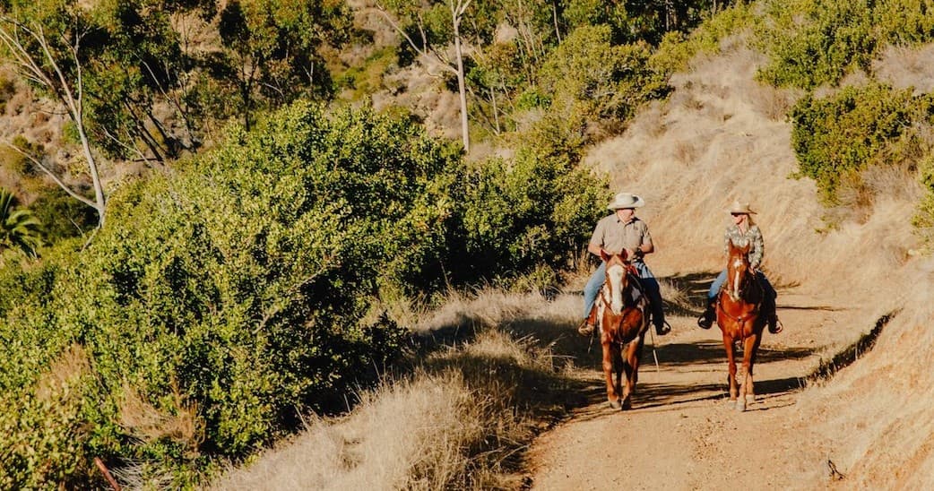 Private Horse Trail Ride in Catalina Island, Avalon